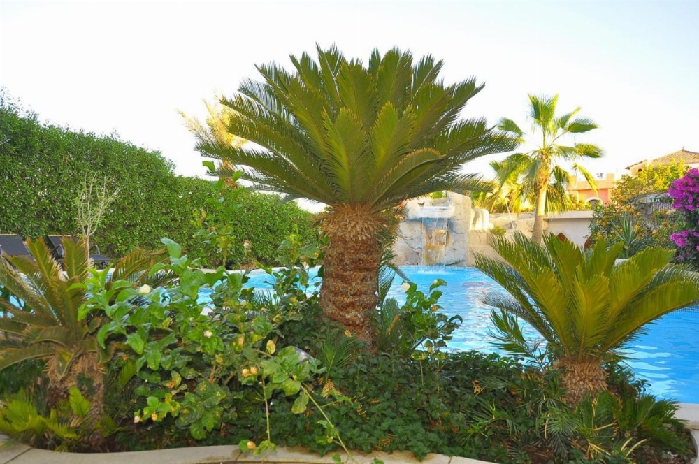 Villa Shahrazad Sharm El Sheikh Image 25