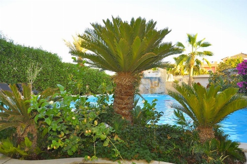 Villa Shahrazad Sharm El Sheikh image 25